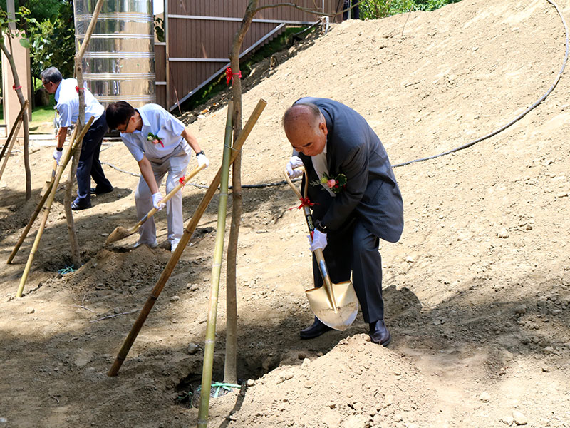 董事長植樹照